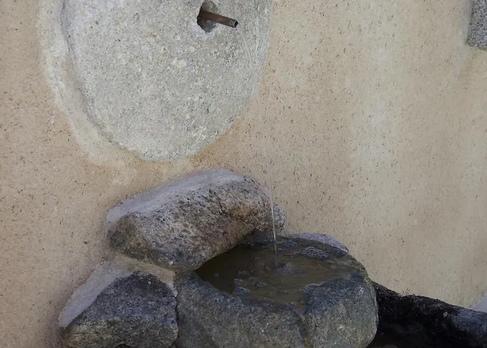 컨트리하우스 El Quinto Pino (Castile and Leon)